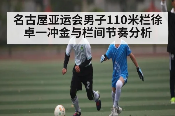 名古屋亚运会男子110米栏徐卓一冲金与栏间节奏分析 - kaiyun